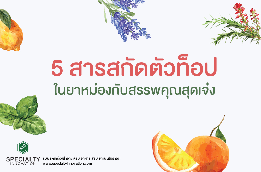 5 สารสกัดตัวท็อปในยาหม่องกับสรรพคุณสุดเจ๋ง