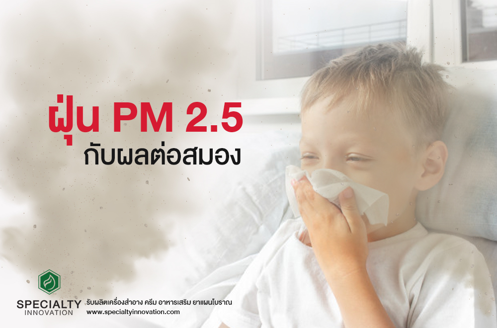 ฝุ่น PM 2.5 ที่มีผลกับสมอง