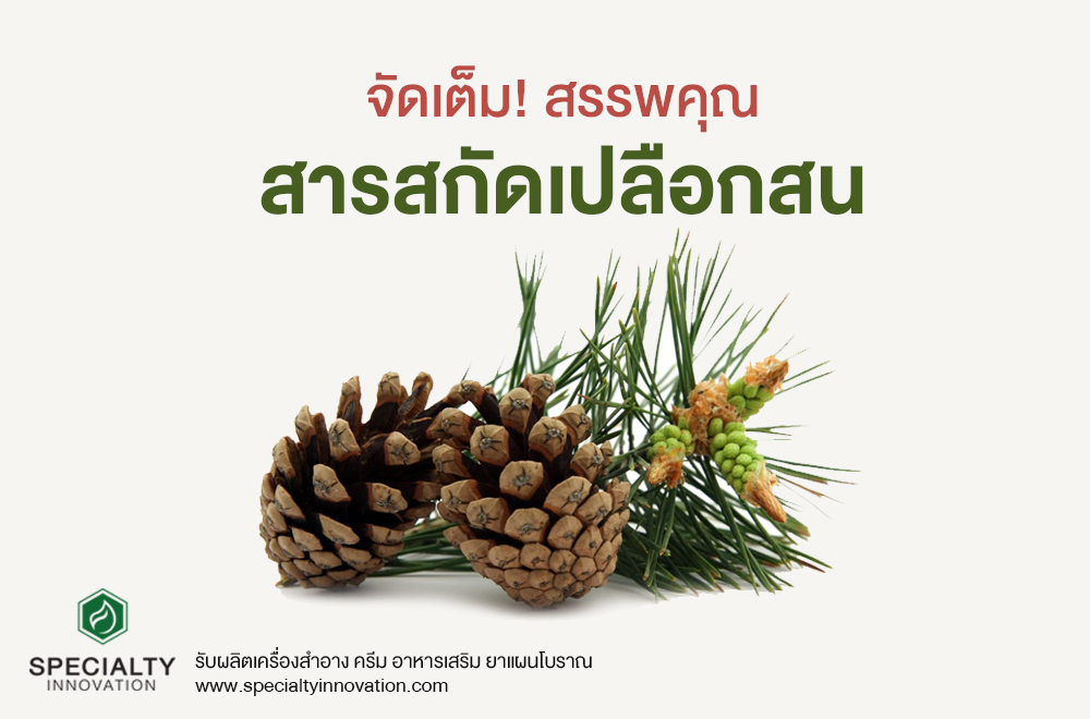 จัดเต็ม! สรรพคุณสารสกัดจากเปลือกสน