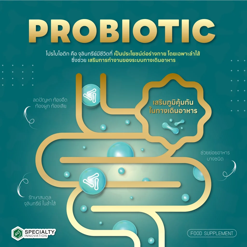 🦠 Probiotic กับระบบทางเดินอาหาร: ลำไส้สมดุล สุขภาพดีทั้งตัว!