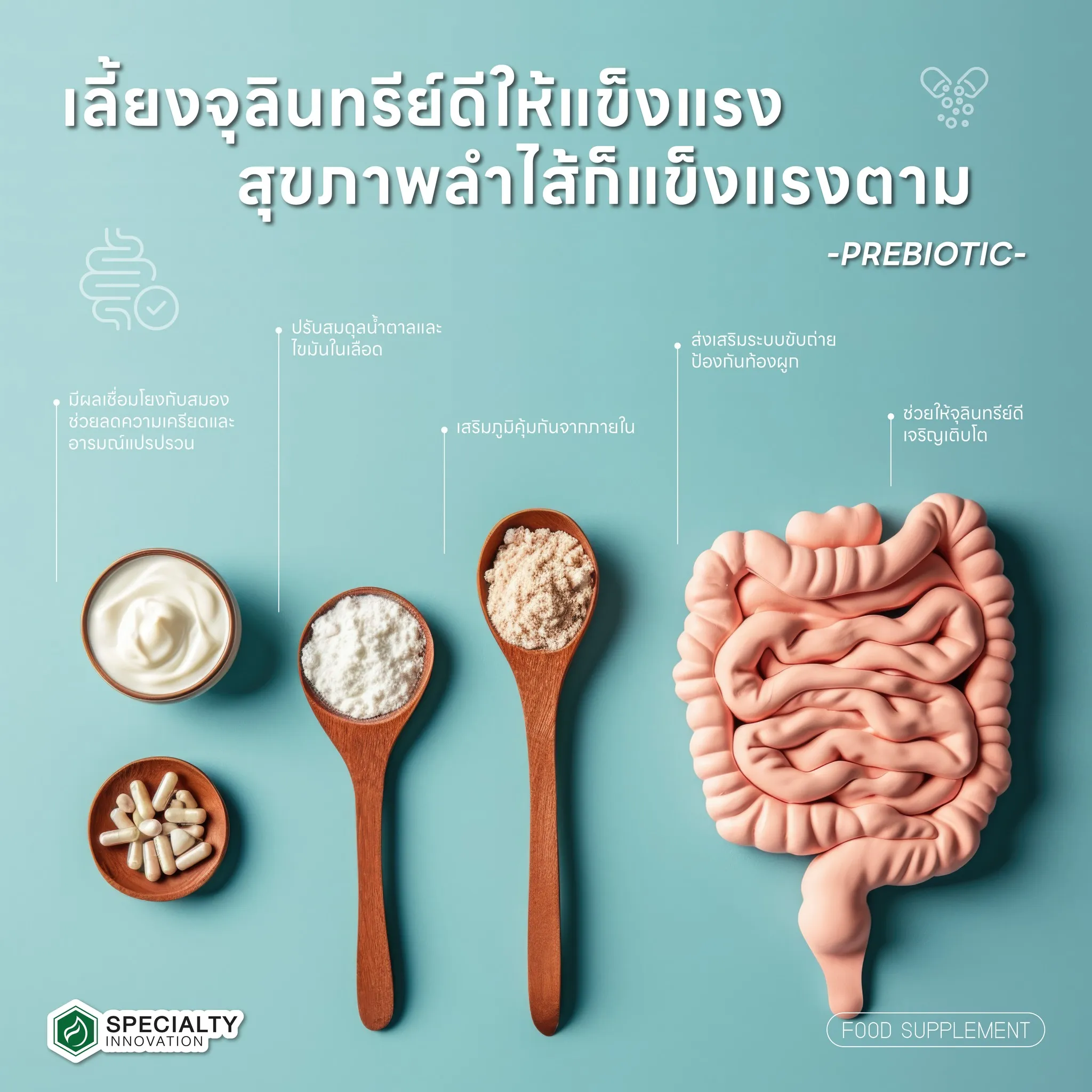 💪 เลี้ยงจุลินทรีย์ดีให้แข็งแรง = ลำไส้แข็งแรง สุขภาพดีทั้งระบบ !