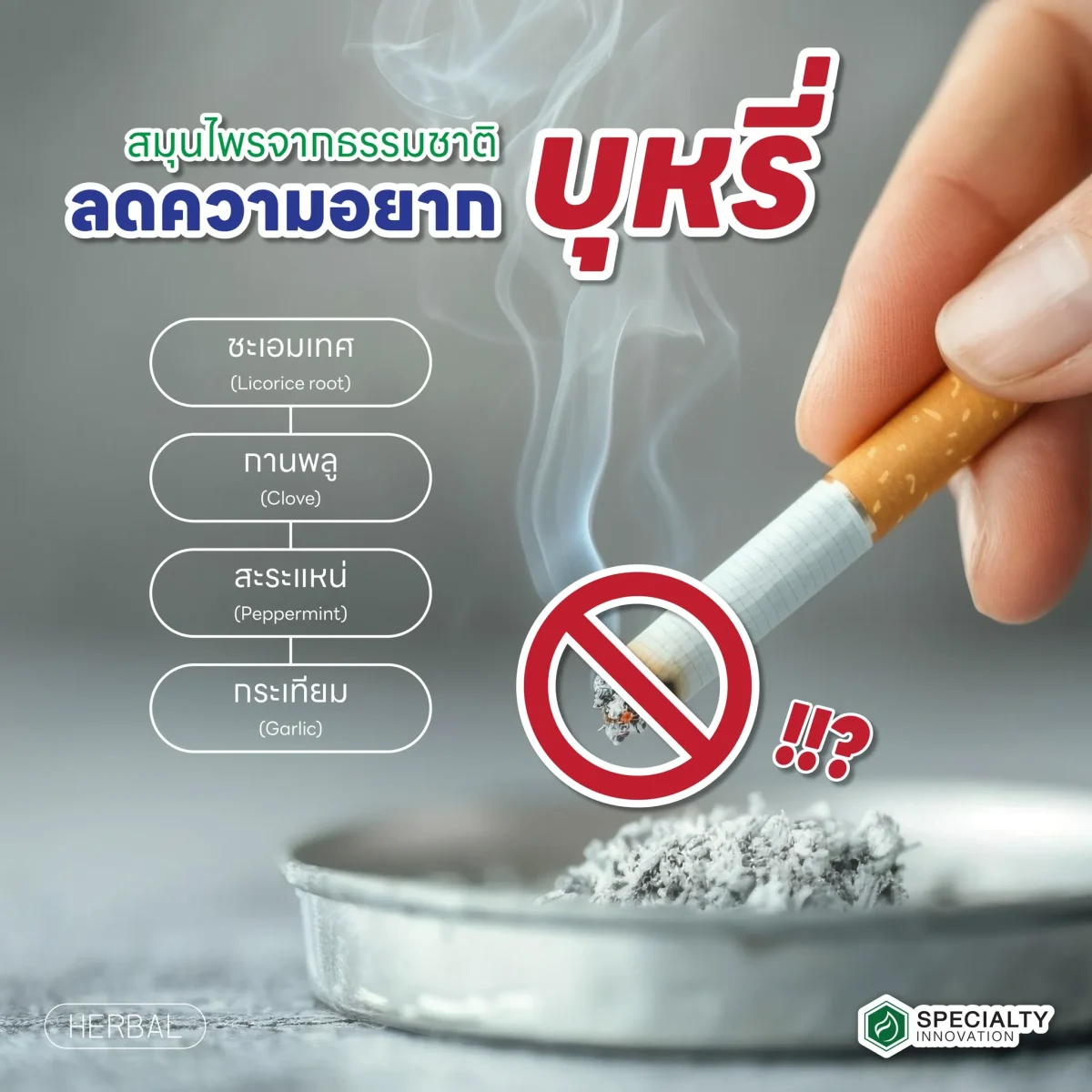 🌿 อยากเลิกบุหรี่? ลองใช้สมุนไพรช่วยสิ! เลิกบุหรี่ไม่ง่าย แต่สมุนไพรจากธรรมชาติหลายชนิดช่วยได้!