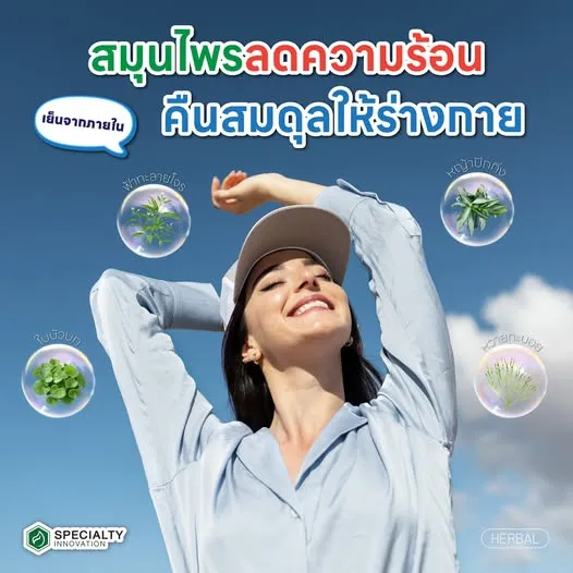 🌿 เย็นจากภายใน ! 4 สมุนไพรลดความร้อน คืนสมดุลให้ร่างกาย